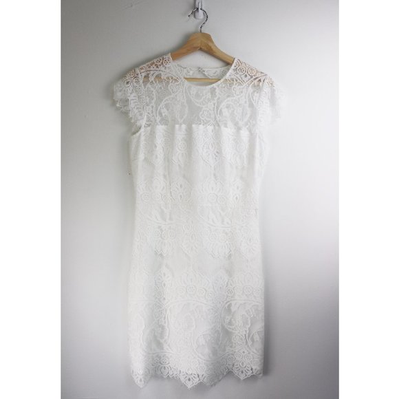 NEW BB Dakota Rhianna Illusion Yoke Lace Dress 8 - Picture 4 of 8